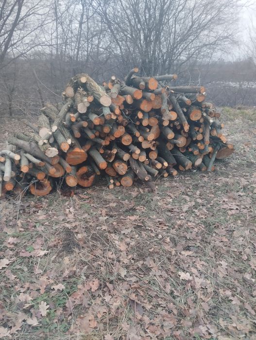 Продам дрова твердых/мешаных пород