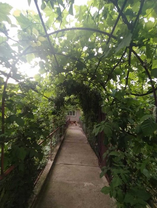 Дом с газовым отоплением и участком на 11 соток, 75 м2, 3 комнаты