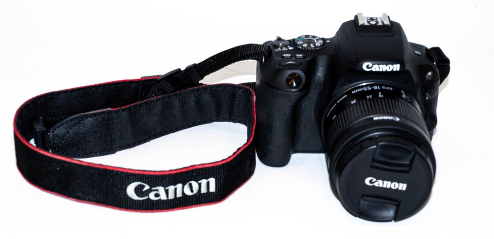 Canon EOS 200D + 18-55mm IS STM 24.2Mpix 24 TYŚ