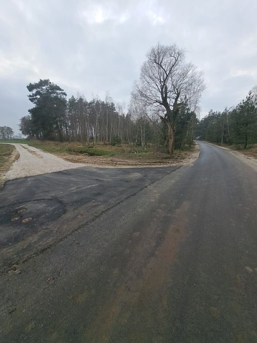 Zdjęcie 5