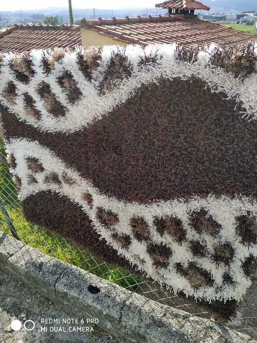 Carpetes pelo Longo