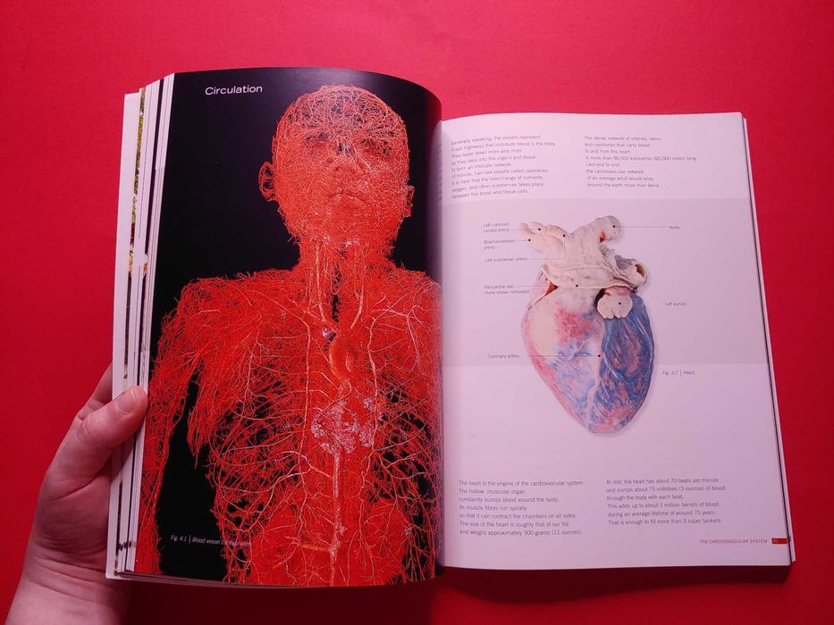 Книга «Вселенная тела» BODY WORLDS Gunther von Hagens