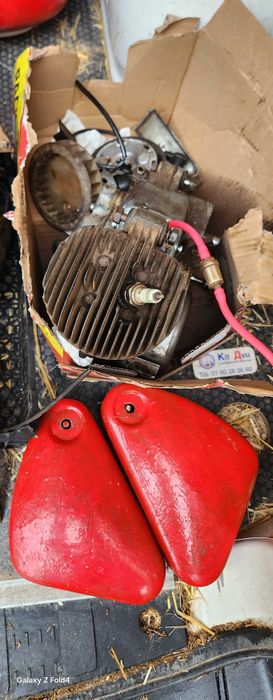 sashs lebre motorizada