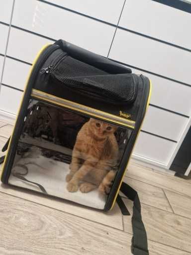 Plecak transporter torba transportowa dla psa kota zwierzęta