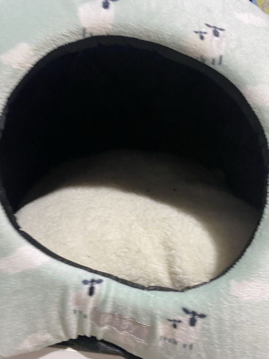 cama de gato novas!!