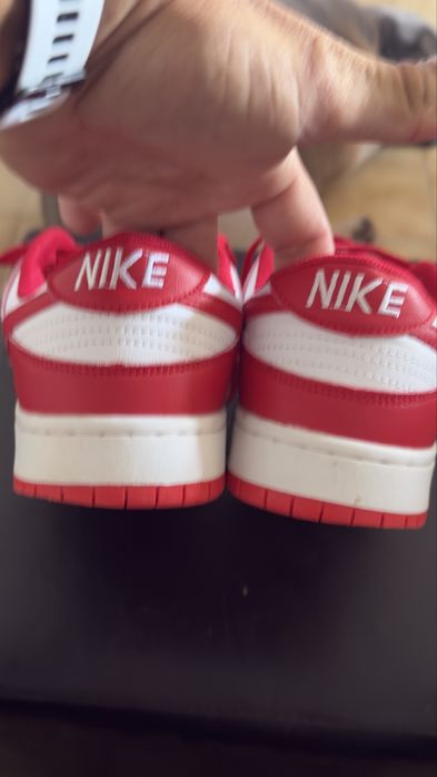 Nike SB Dunk Low Pro