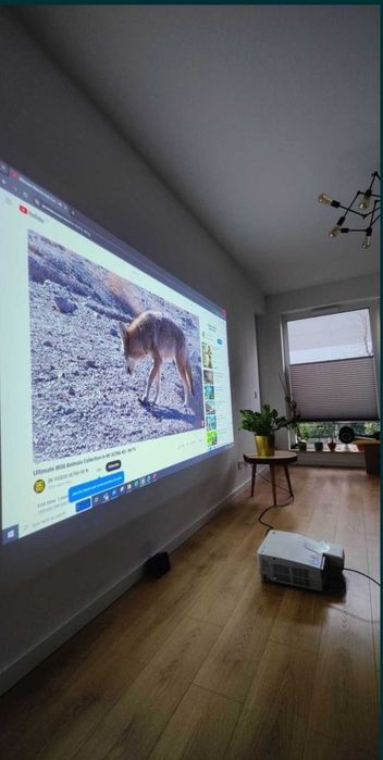 nec um301w i Chromecast z WIFI projektor szerokokątny hdmi NOWA LAMPA