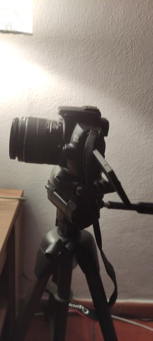 Máquina fotográfica Canon EOS 250D + objetiva + bolsa + tripé