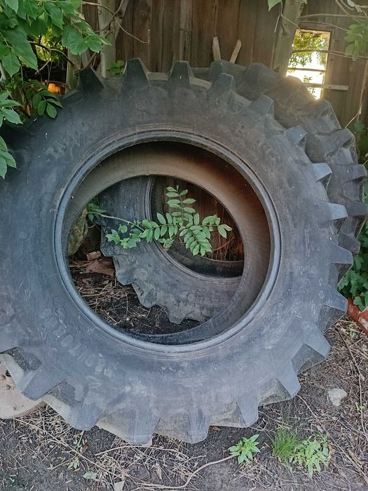 Opony Petlas TA-110 580/70r38