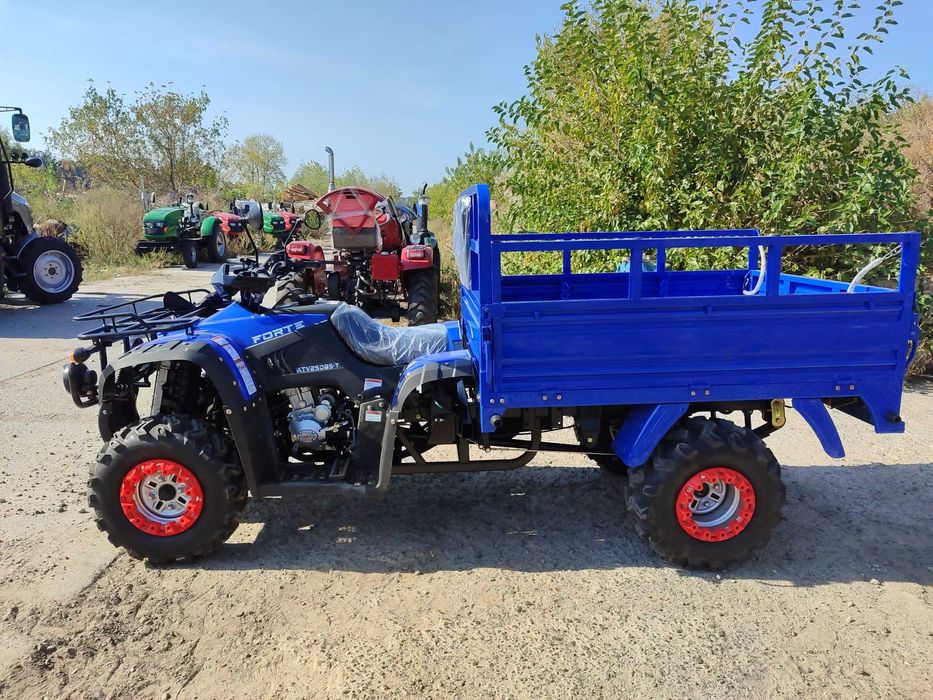 Квадроцикл Грузовой Форте 250 до 500 кг Башан