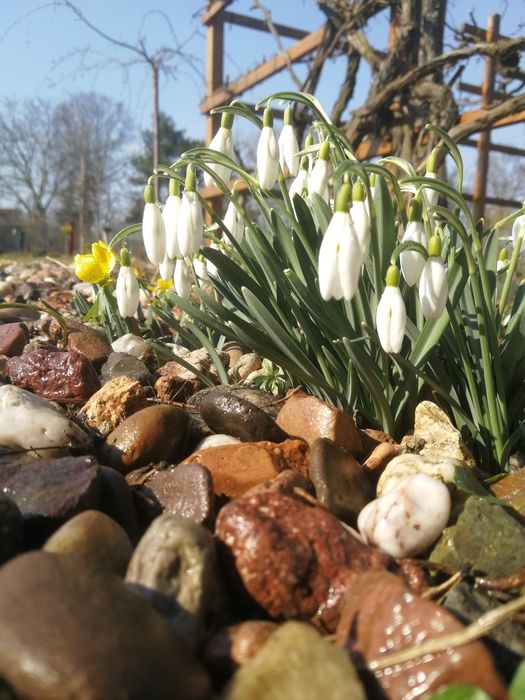 Kamień ogrodowy, OTOCZAK rzeczny- transport - podsypywanie