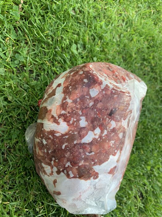 : Mięso dla psów  wołowe mrozone bez konserwantów