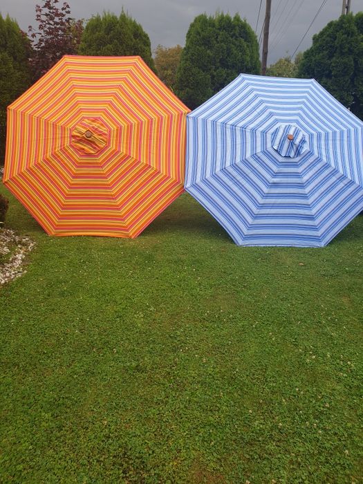 Pasiasty parasol
