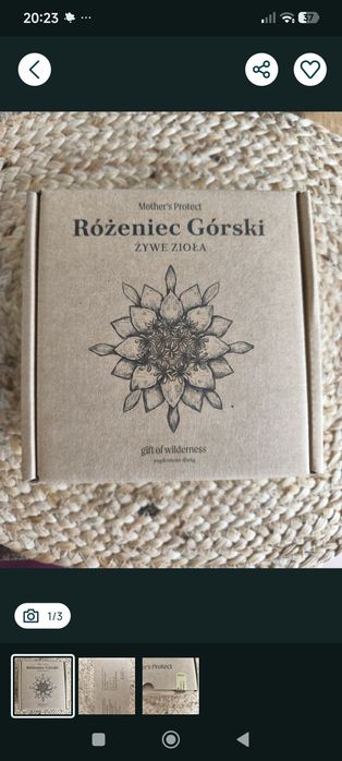 Różeniec Górski, adaptogen,  Mothers Protect