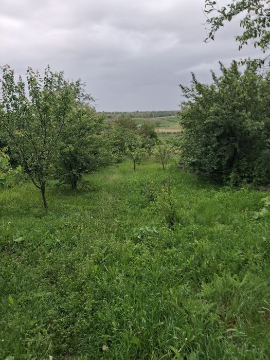 Продаж будинку на Ст.Балашівці