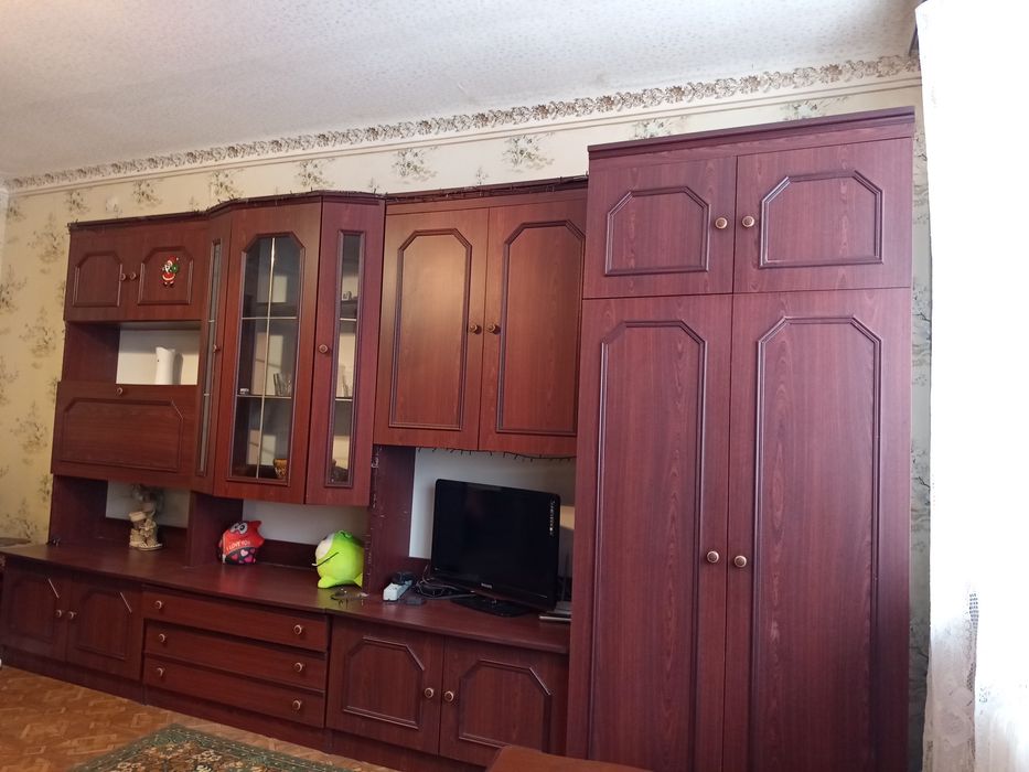 Здається 1но кімнатна квартира в центрі