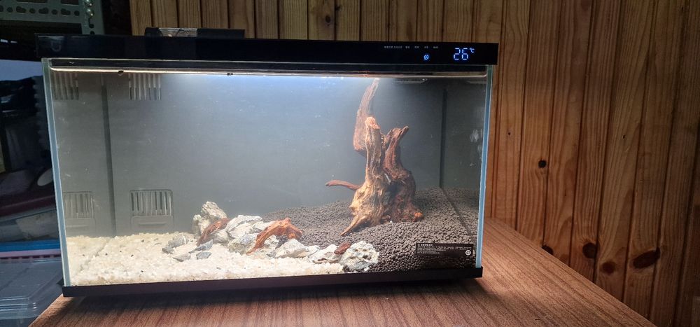 Aquário Xiaomi tank fish