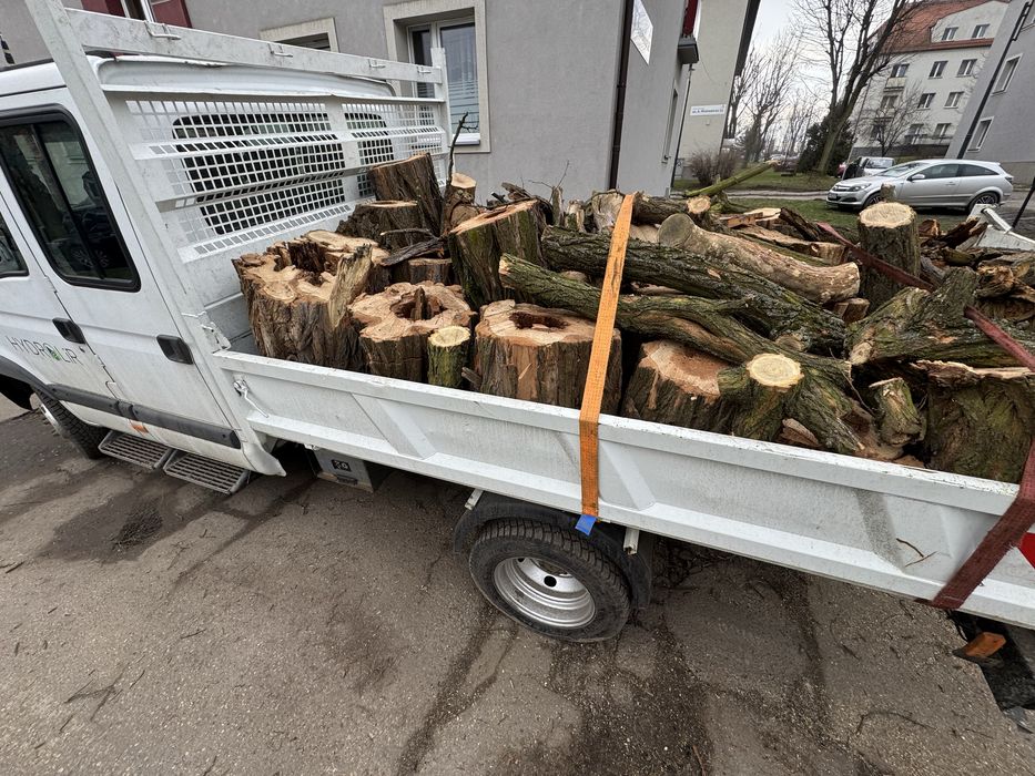 Wycinka drzew i krzewów/ przycinanie koron drzew