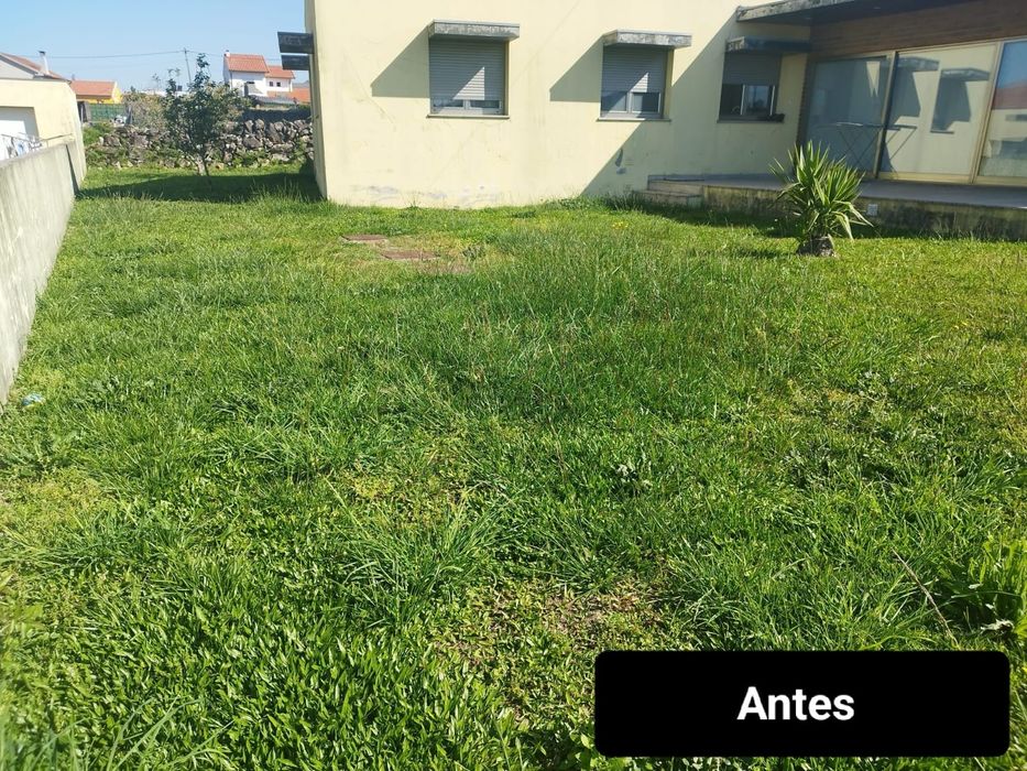 Jardinagem e Manutenção de Jardim