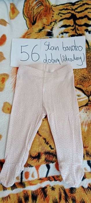 Body+pajacyki+leginsy 50/56