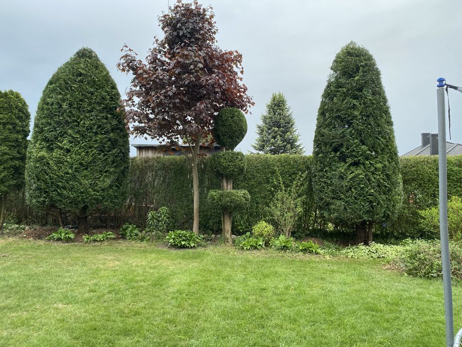 Pielegnacja ogrodow, realizacja projektow oraz montaz nawodnienia