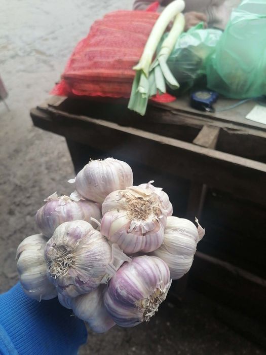 Marchew 25 kilo 27zl prosto od rolnika wysyłka inpost