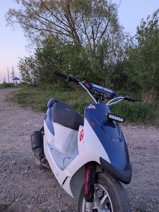 Suzuki zz inch up sport