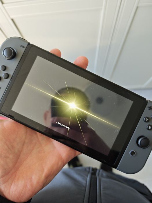 Zelda Breath of The Wild Nintendo switch
