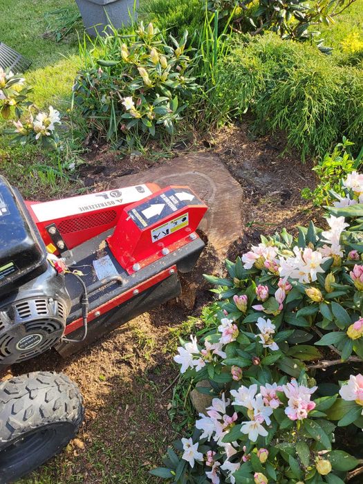 WYCINKA DRZEW - karczowanie , czyszczenie działek. Szybko i solidnie.