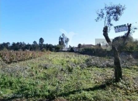 Valongo do Vouga Land Plot