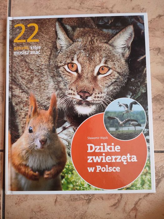 Dzikie zwierzęta w Polsce
