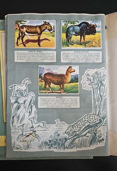 História Natural - Caderneta de Cromos Completa - 1958