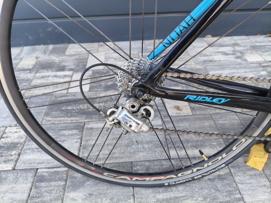 Szosa karbon Ridley noah rozm 56