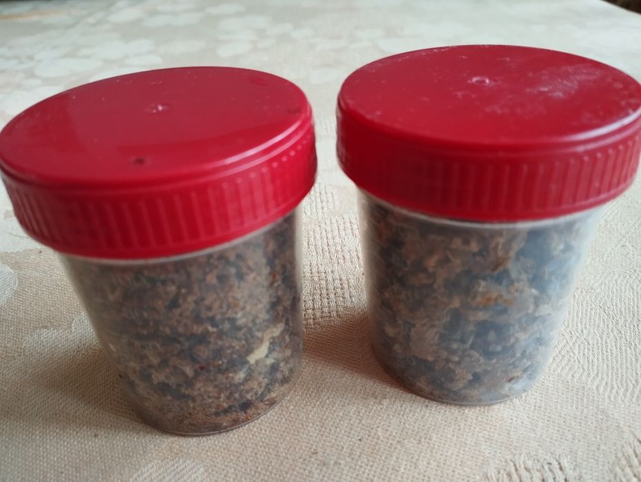 Kit pszczeli,propolis.