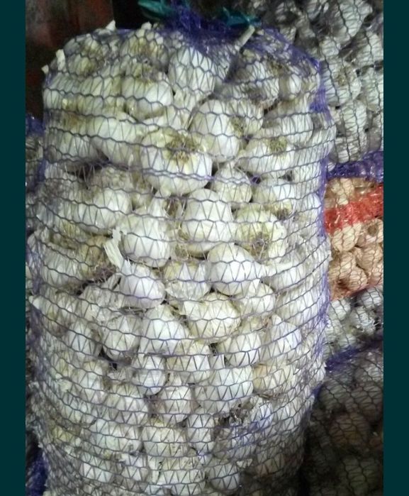 Ча га березка ,з города своє