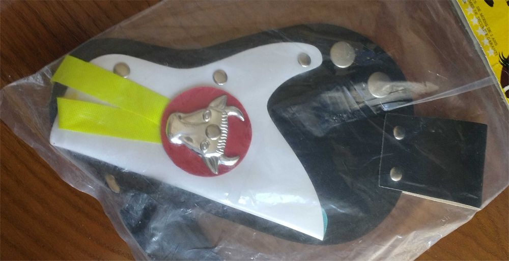 Cowboy Holster Set