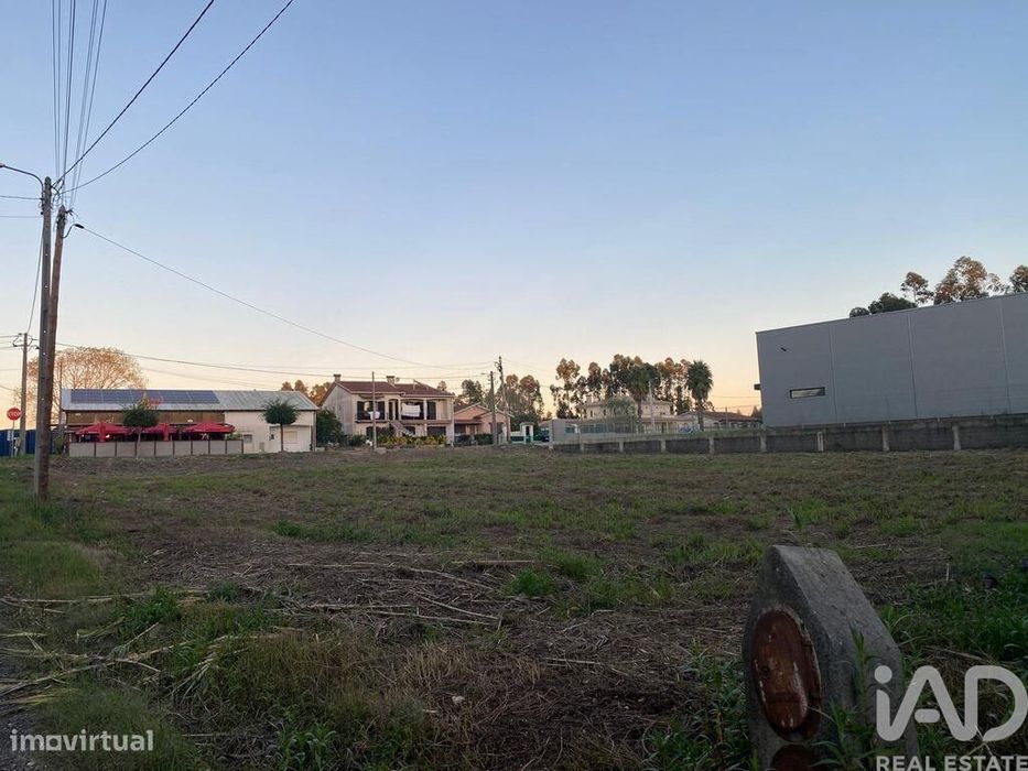 Terreno Agrícola em Bustos, Troviscal e Mamarrosa