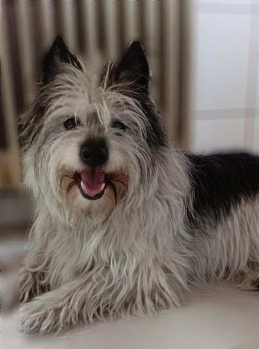 Domku! Gdzie jesteś?