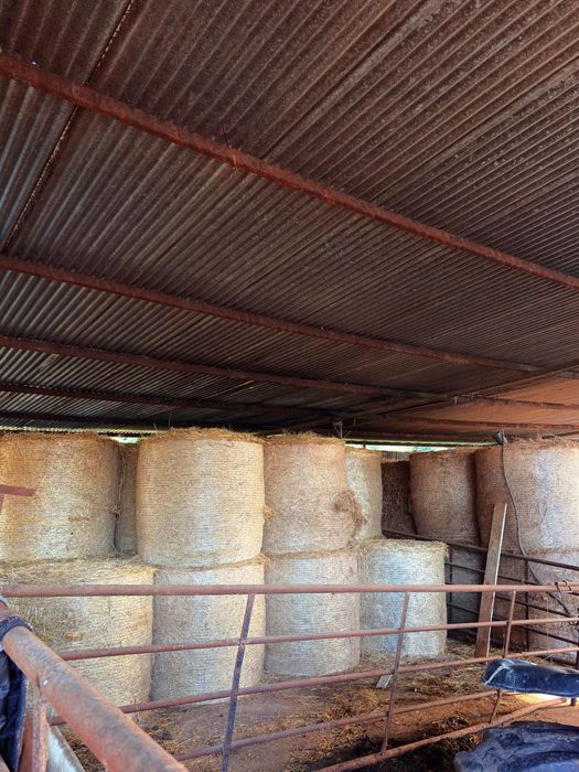 Rolos de Palha para venda