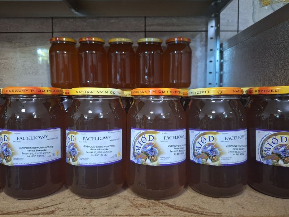 Miód faceliowy zbiór 2025