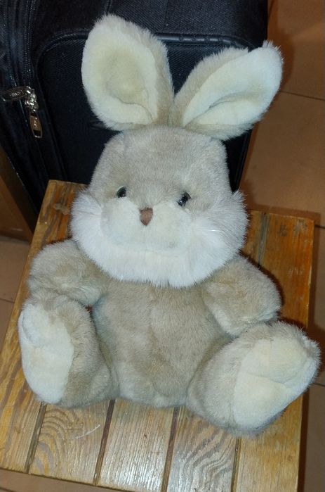 Maskotka Królik naprawdę piękny