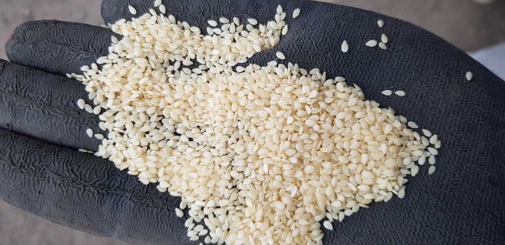 NA OLEJ Len Konopie Krokosz Czarnuszka Ostropest Lnianka i inne