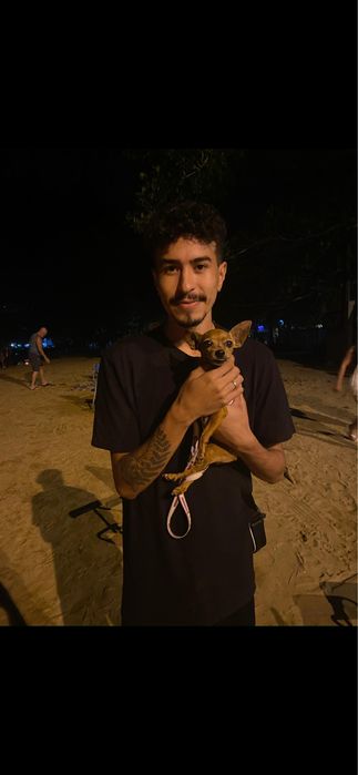 Dog Walker