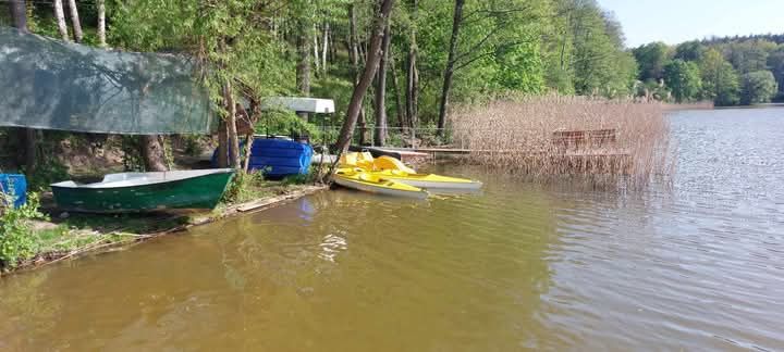 Pokoje do wynajecia Zbiczno.