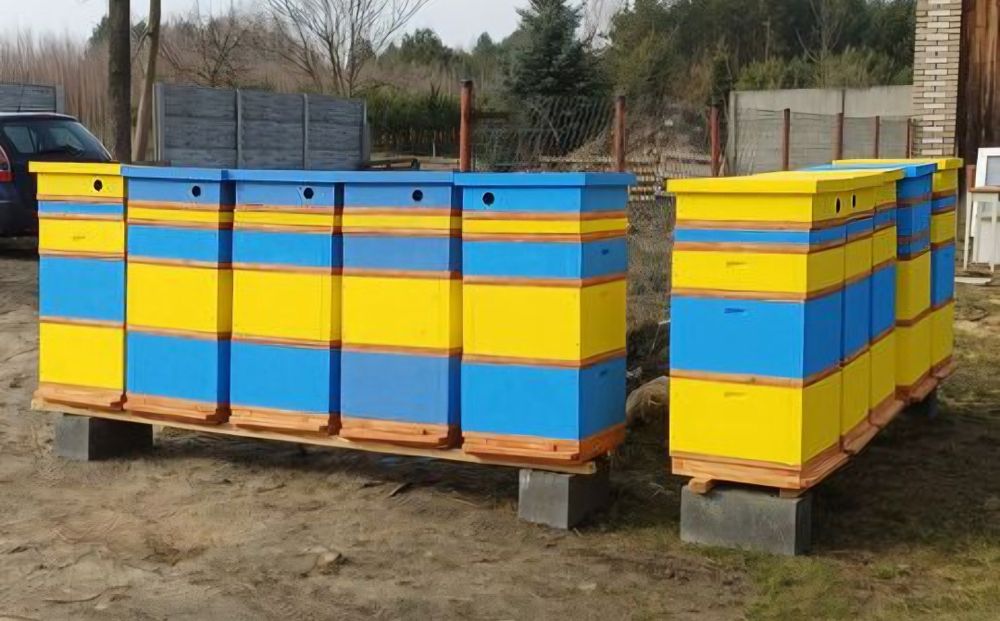 Ul , ule wielkopolskie 10 ramek, styrodur 700