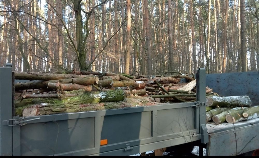 Sosna, brzoza, osika drzewo opał 160zł