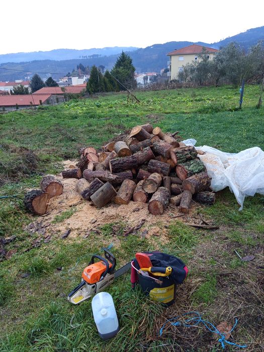 Limpezas e desbastes