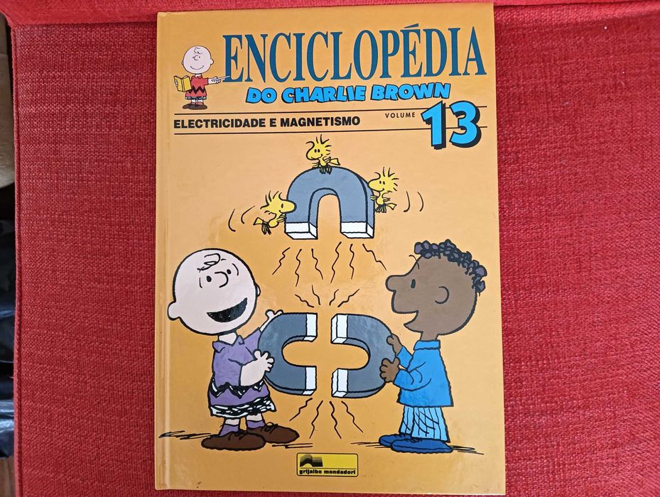 Enciclopédia do Charlie Brown 13 – Eletricidade e Magnetismo