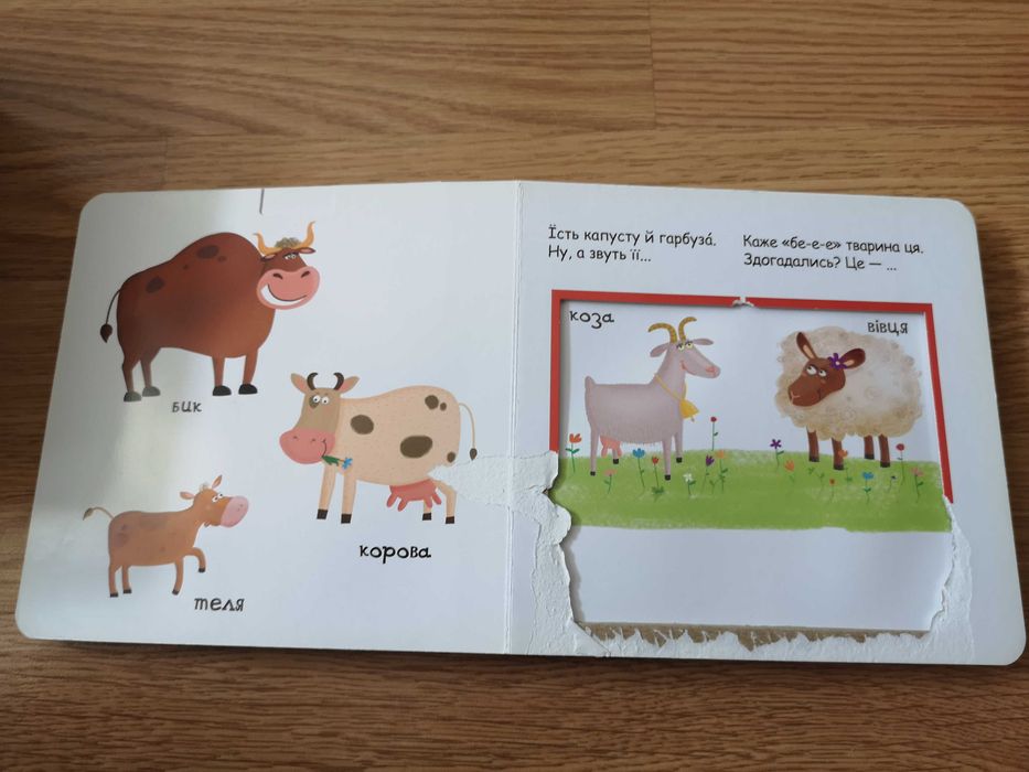 Книги з рухомими елементами Василь Федієнко, Lego