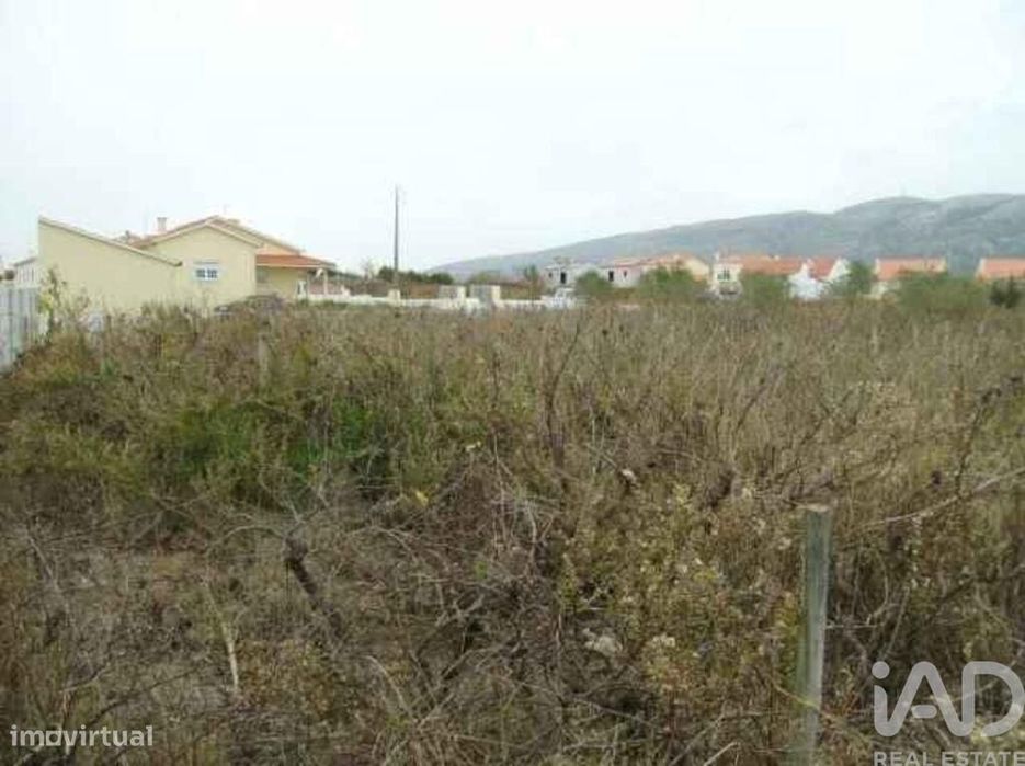 Terreno em Aljubarrota de 1221,00 m2